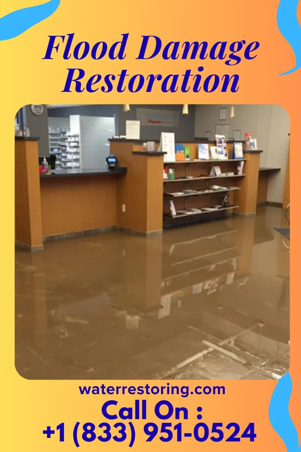 Flood Damage Restoration in Salem Lakes, WI