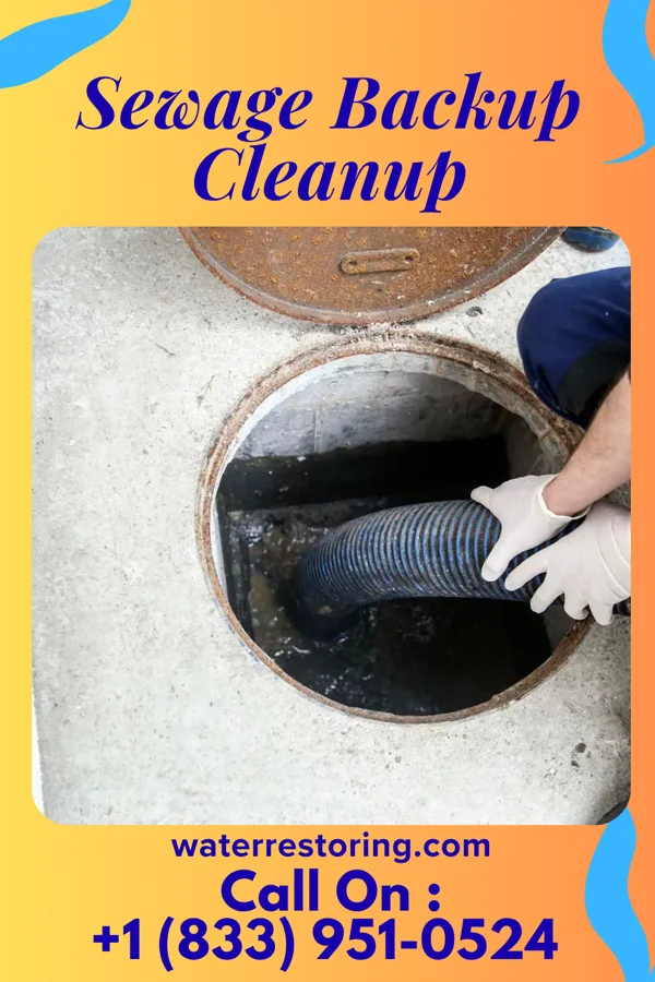 Sewage Backup Cleanup in Salem Lakes, WI