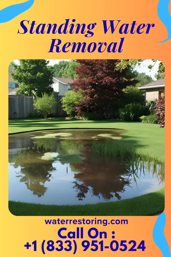 Standing Water Removal in Salem Lakes, WI